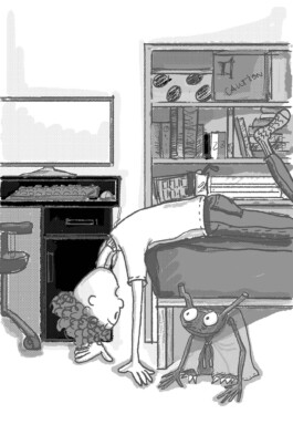  Illustrationen von Eva Spielhagen.