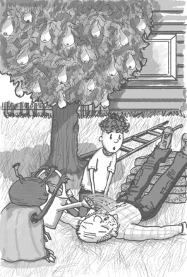  Illustrationen von Eva Spielhagen.